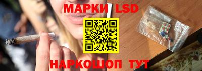PSILOCYBIN Ярославль