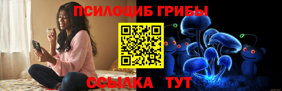 Псилоцибиновые грибы Psilocybine cubensis  Псилоцибиновые грибы мухоморы  Вход с VPN  Бор 